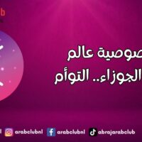 خصوصية عالم برج الجوزاء.. التوأم