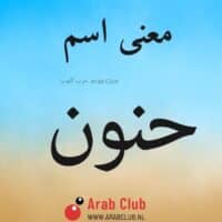 معنى اسم حنون