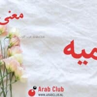 معنى اسم تيميه