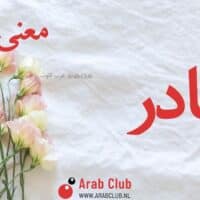 معنى اسم بيادر