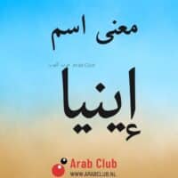 معنى اسم اينيا