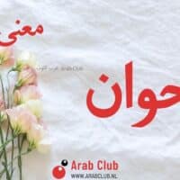 معنى اسم أقحوان