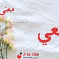 معنى اسم المعي