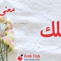 معنى اسم الملك