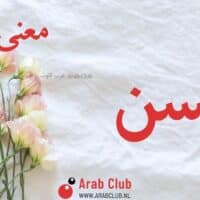 معنى اسم أليسن