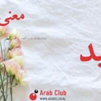 معنى اسم أميد