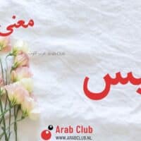 معنى اسم أميس