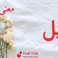 معنى اسم إميل