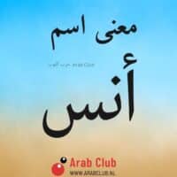 معنى اسم أنس