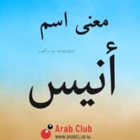 معنى اسم أنيس