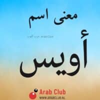 معنى اسم أويس