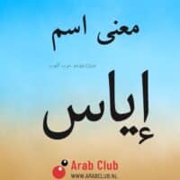 معنى اسم إياس