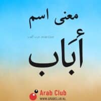 معنى اسم أبَاب