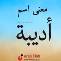 معنى اسم أديبة