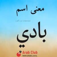 معنى اسم بادي