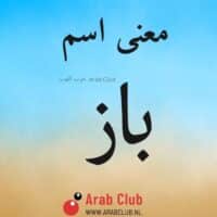 معنى اسم باز