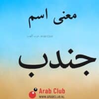 معنى اسم جندب