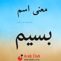 معنى اسم بسيم