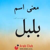 معنى اسم بلبل