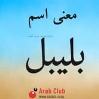 معنى اسم بليبل