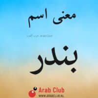 معنى اسم بندر