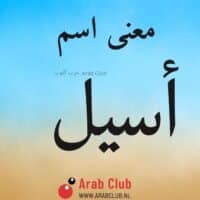 معنى اسم أسيل