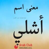 معنى اسم أشلي