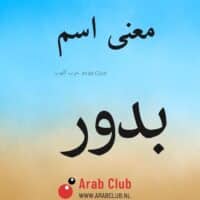 معنى اسم بدور