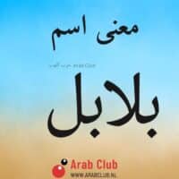 معنى اسم بلابل