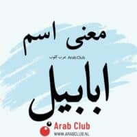 معنى اسم أبابيل