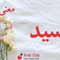 معنى اسم أوسيد