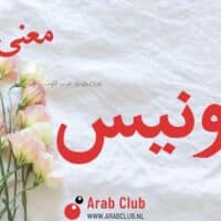 معنى اسم أدونيس