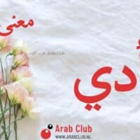 معنى اسم آدي