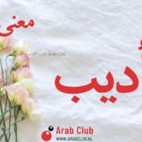 معنى اسم أديب