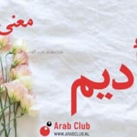 معنى اسم أديم