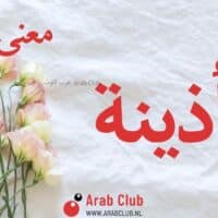 معنى اسم اذينه