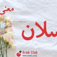 معنى اسم ارسلان