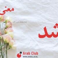 معنى اسم ارشد