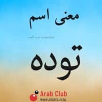 معنى اسم توده