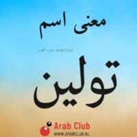 معنى اسم تولين