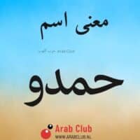 معنى اسم حمدو