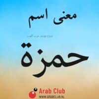 معنى اسم حمزه