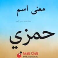 معنى اسم حمزي