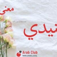 معنى اسم جنيدي