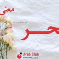 معنى اسم بحر