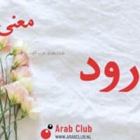 معنى اسم ارود