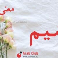 معنى اسم اشيم