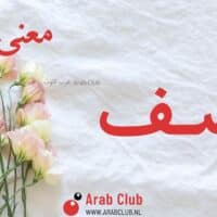 معنى اسم اصف