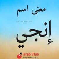 معنى اسم انجي معاني الاسماء