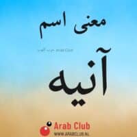 معنى اسم انيه معاني الاسماء